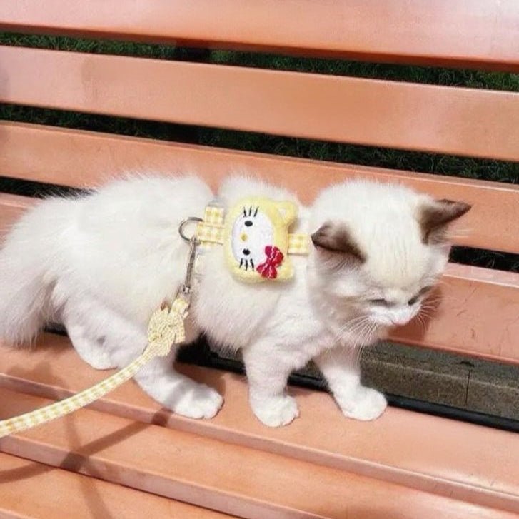 Puppy and cat leash - Image 4