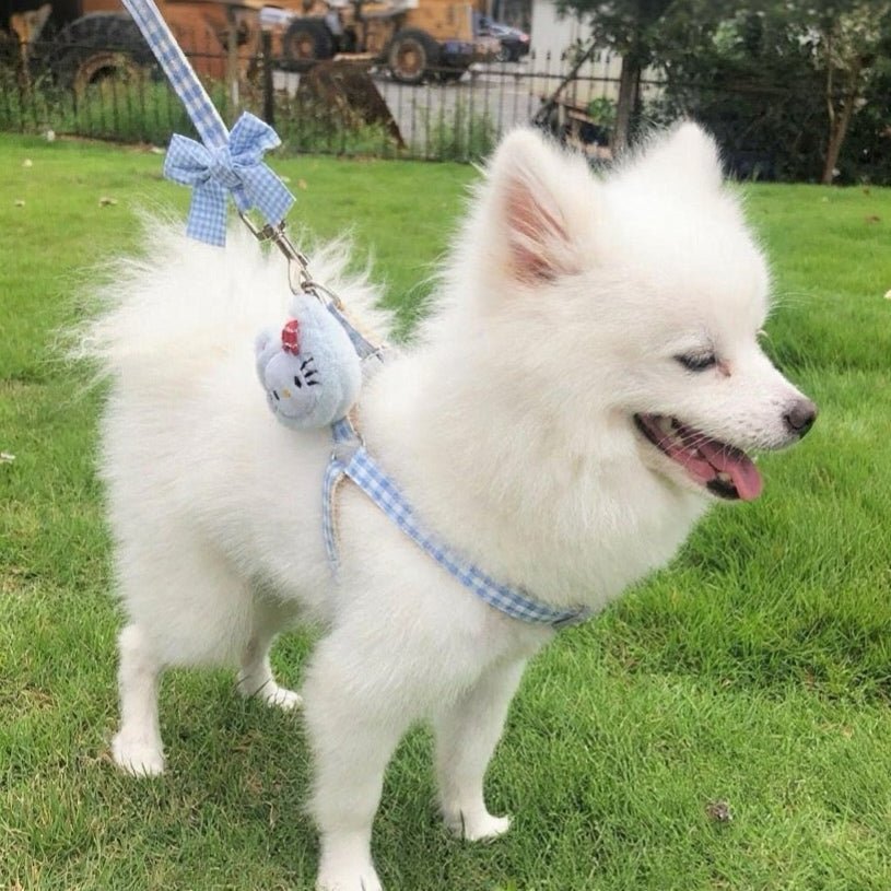 Puppy and cat leash - Image 9