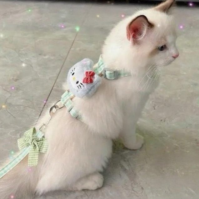 Puppy and cat leash - Image 14