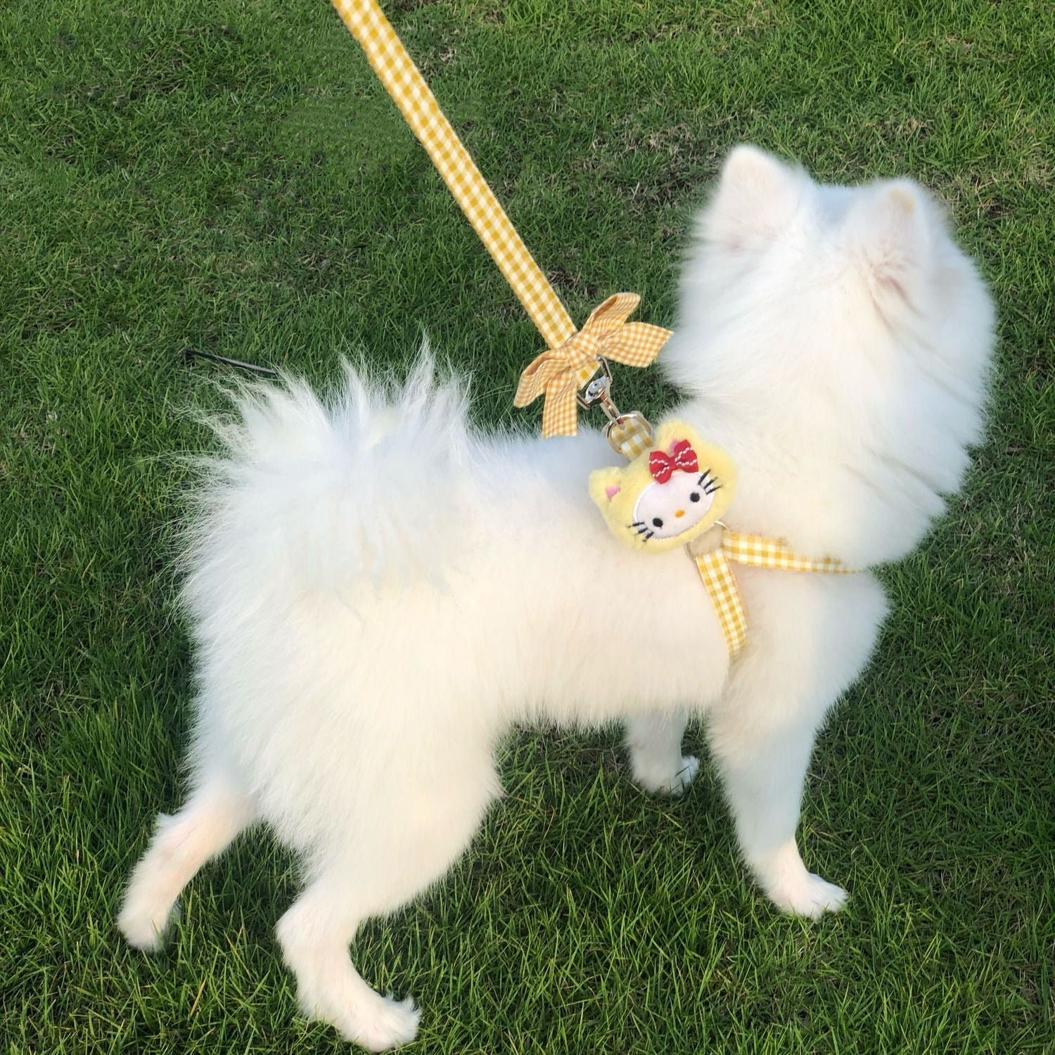 Puppy and cat leash - Image 2
