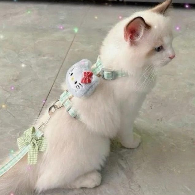 Puppy and cat leash - Image 5