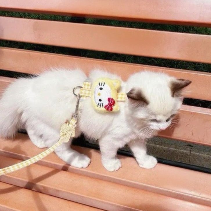 Puppy and cat leash - Image 6